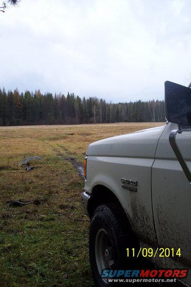 White 1990 Ford Bronco front fender and door in a grassy field