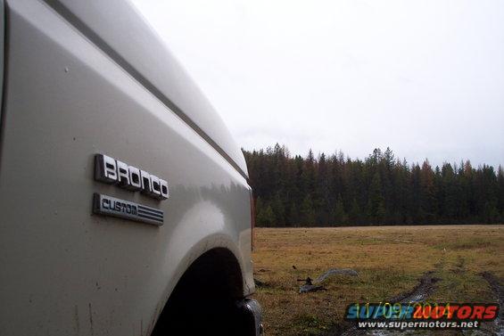 1990 Ford Bronco Custom side view, parked in a field with trees in background