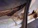 1985 Ford F-250 - Rocker Panel 4 (before)