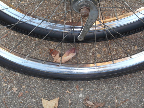 Two bicycle wheels with chrome rims and spokes resting on asphalt with fallen leaves