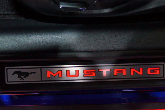 dsc00111.jpg