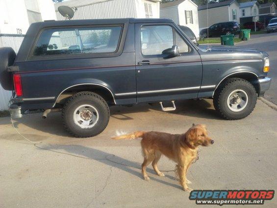 Dark blue Ford Bronco with a spare tire on the back, parked on concrete