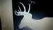 tmp_18121451424906.jpeg