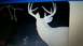 tmp_1806-1892746183.jpeg