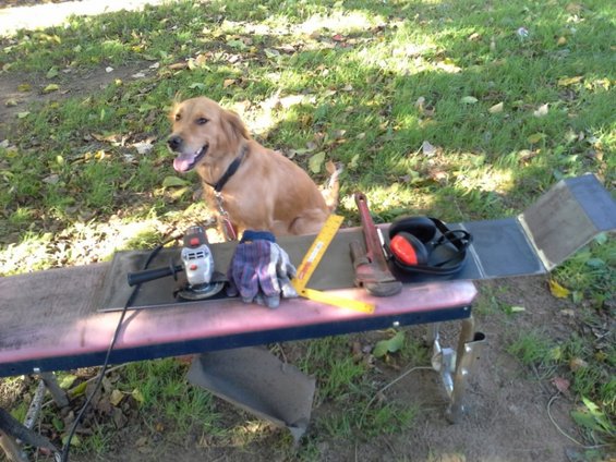 Lay ouy materials and safety gear. Make sure you have a trusty helper!