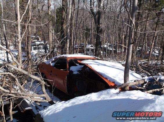 Orange car body covered in snow, doors missing, engine bay exposed, surrounded by trees and other junked vehicles