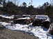 1974 Dodge Challenger - Two old cars are partially buried in snow and brush in a wooded area.