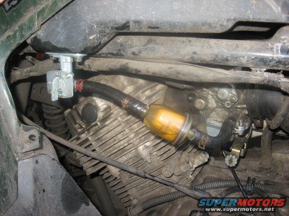 Fuel filter and petcock assembly on an engine