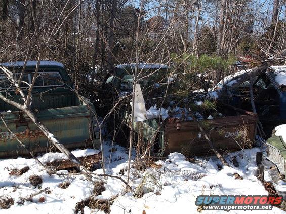 Two old, rusty pickup trucks in the snow, one green with "Dodge" on the tailgate.