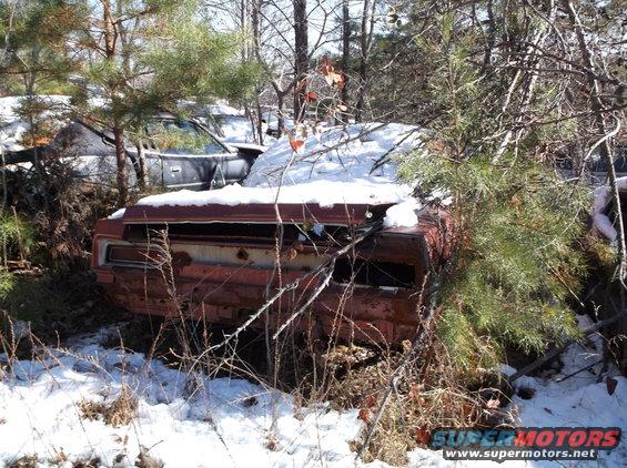 Rear view of a rusty orange-red classic car in a snowy, overgrown junkyard.