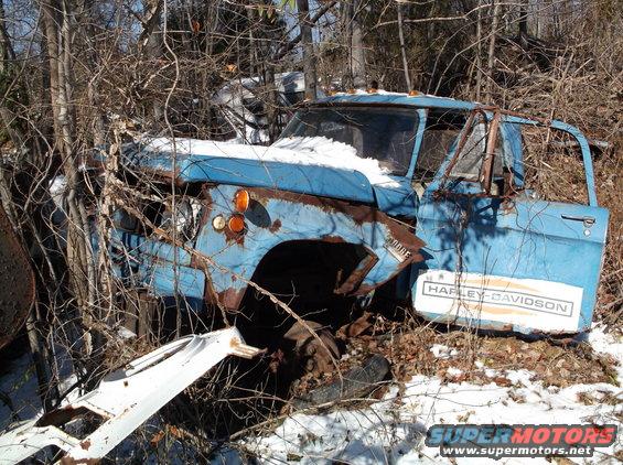 Overgrown blue Dodge pickup truck with rust and a Harley-Davidson decal.