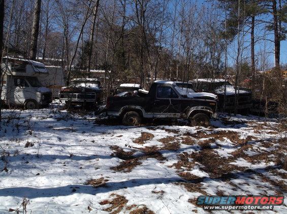 Abandoned pickup trucks and a camper van in a snowy wooded area.