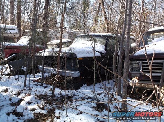Snow-covered junked vehicles in a wooded area, with a dark pickup truck in the foreground.