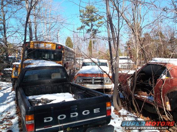 Black Dodge pickup truck in a snowy junkyard with a yellow school bus and red car.