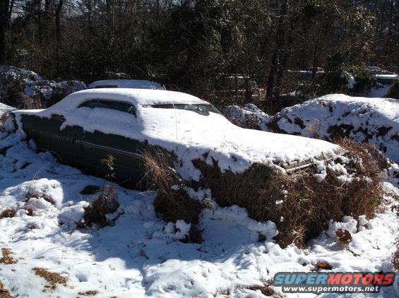 Snow-covered vintage green coupe in a wooded area.