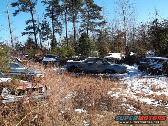 Several old, rusty cars in a wooded area with snow on the ground.