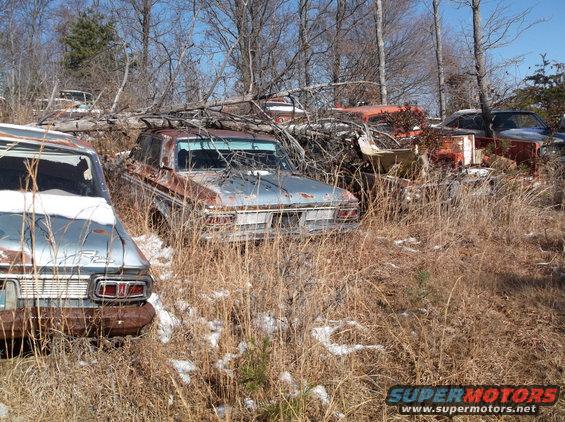Rusted vehicles in a field with dry grass and fallen branches.