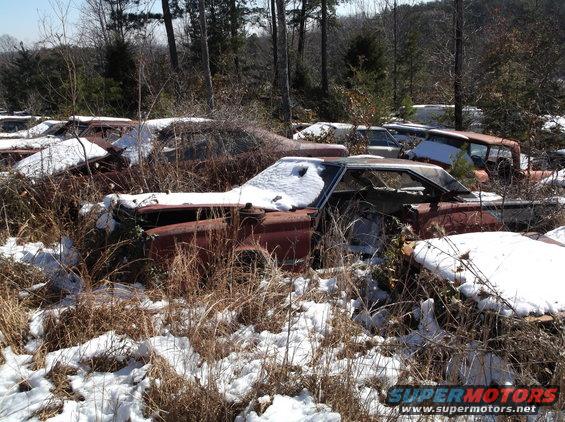 Abandoned rusty cars covered in snow in a wooded area.