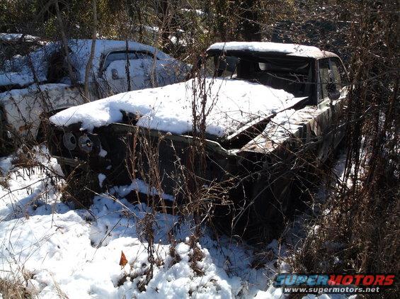 Abandoned car in snow, front view, surrounded by brush.