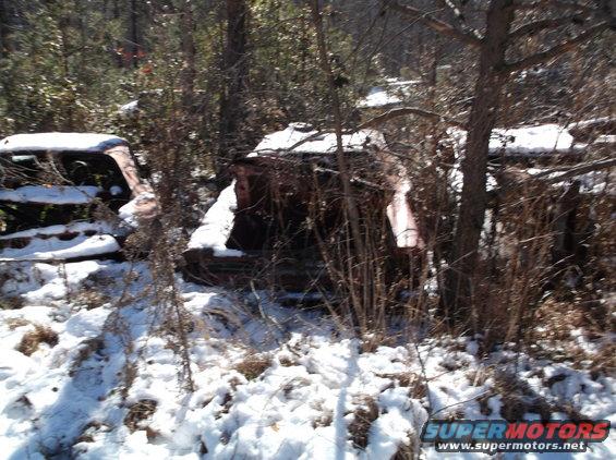 Abandoned car bodies in the snow, surrounded by trees.