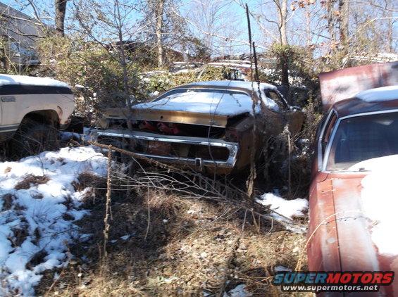 Two rusty classic cars, one gold and one red, sit in the snow among trees.