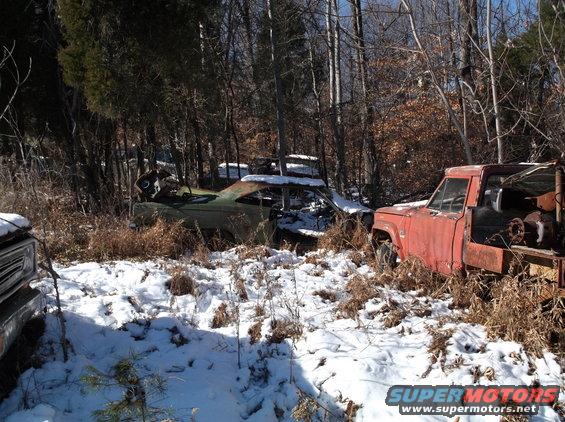 Abandoned green coupe and red truck in a snowy forest.