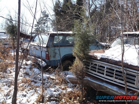 Two old pickup trucks in a snowy wooded area. One is blue, the other is reddish-brown.