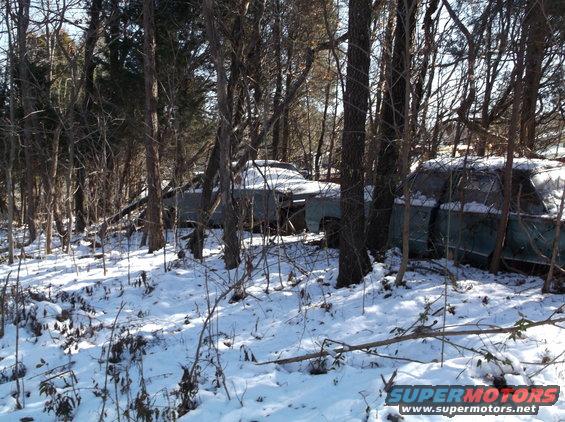 Two old teal sedans sit in the snow among trees.