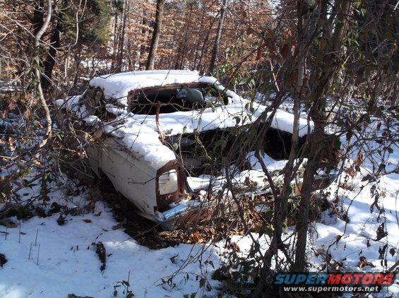 Abandoned white car in snow, surrounded by trees.