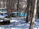 1974 Dodge Challenger - Several vehicles are visible in a snowy, wooded environment, with one car showing a teal-colored roof.