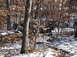 1974 Dodge Challenger - Multiple off-road vehicles are visible in a snowy, wooded environment.
