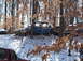 1974 Dodge Challenger - Several vehicles are parked in a wooded area during winter, covered in snow.