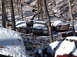 1974 Dodge Challenger - Multiple vehicles are parked in a snowy, wooded area, suggesting a junkyard or abandoned lot.