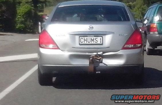 Silver sedan rear view with trailer hitch and license plate CHUMS 1