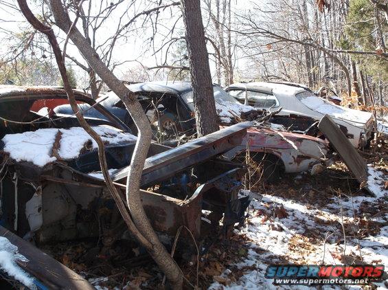 Several old, derelict cars in a wooded area with snow on the ground.