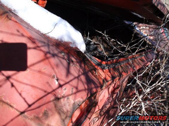 Close-up of a red vehicle exterior with snow and branches.