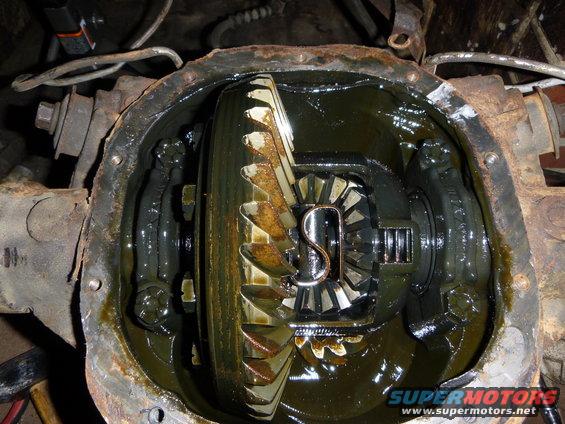 Differential gears covered in dark oil, with a large ring gear and smaller spider gears visible