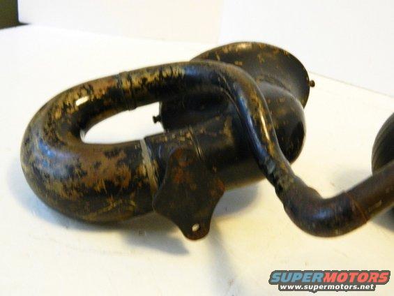 horn-standard.jpg