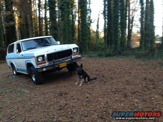 White and blue 1978 Ford Bronco with a dog sitting in front