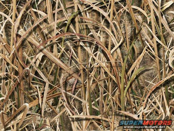 Camouflage pattern with dry grass and reeds. SuperMotors.net logo visible