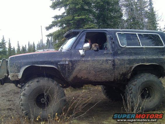 Mud-splattered black SUV with large tires, dog in driver's seat, red stripe on hood