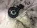 Old motor gear bushings have just disintegrated after 25 years.  Clean it out and replace.