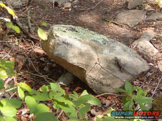 wm40stevesclimb5.jpg