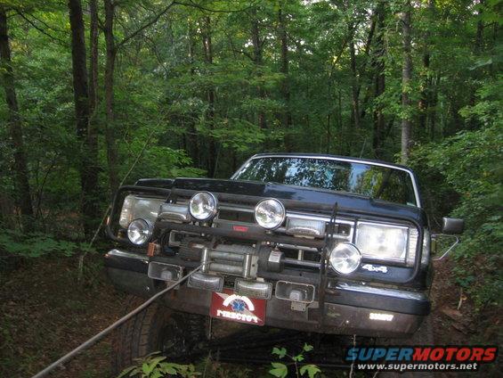 dawson-forrest-035.jpg 