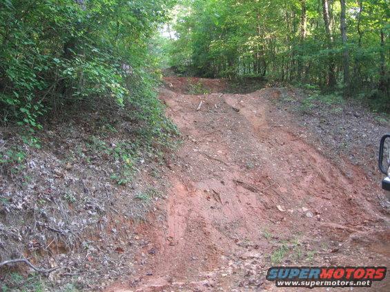 dawson-forrest-033.jpg 
