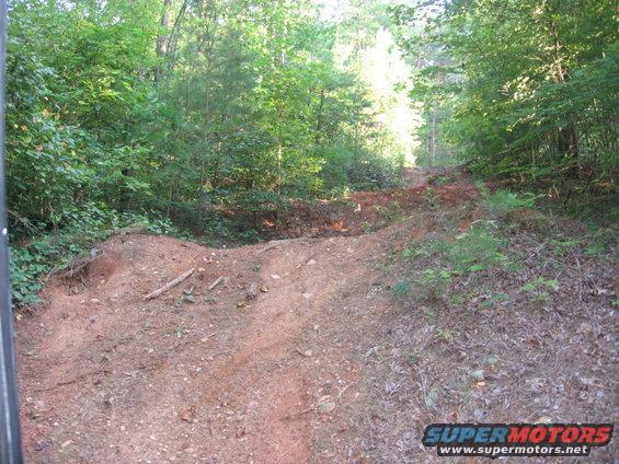 dawson-forrest-032.jpg