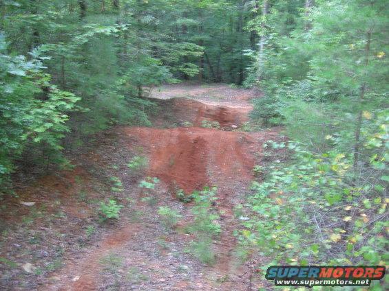 dawson-forrest-015.jpg 