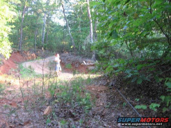 dawson-forrest-013.jpg 