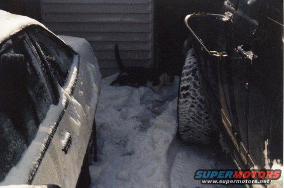 broncosnow4.jpg