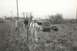 1967 Ford F-100 - A pickup truck sits abandoned in a field, with people standing nearby.